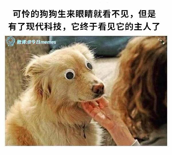 via 摸⃕哦⃕哞⃕ ੭ ᐕ)੭*⁾⁾ ♡