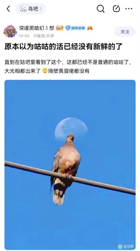 via 6号沙雕网友