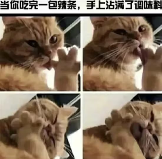 via 6号沙雕网友