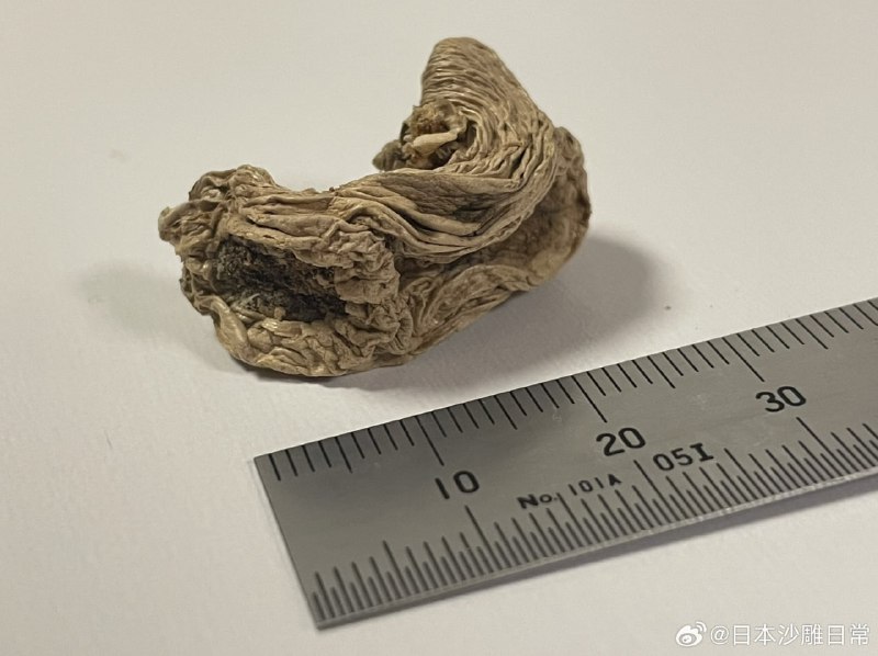 岛国网友发推表示，从冰箱蔬菜室里翻出了一块蜜汁物体