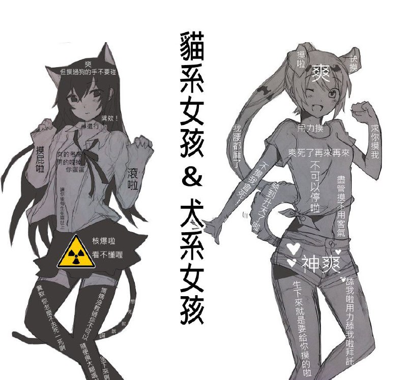 猫系萌娘or犬系萌娘from QQ空间
