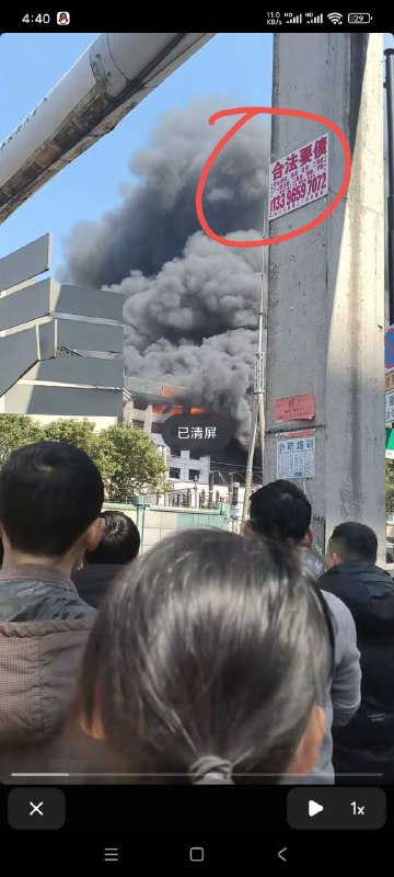 合 法 要 债！喜欢卷，喜欢背三贷！from 芬妮 波瑟