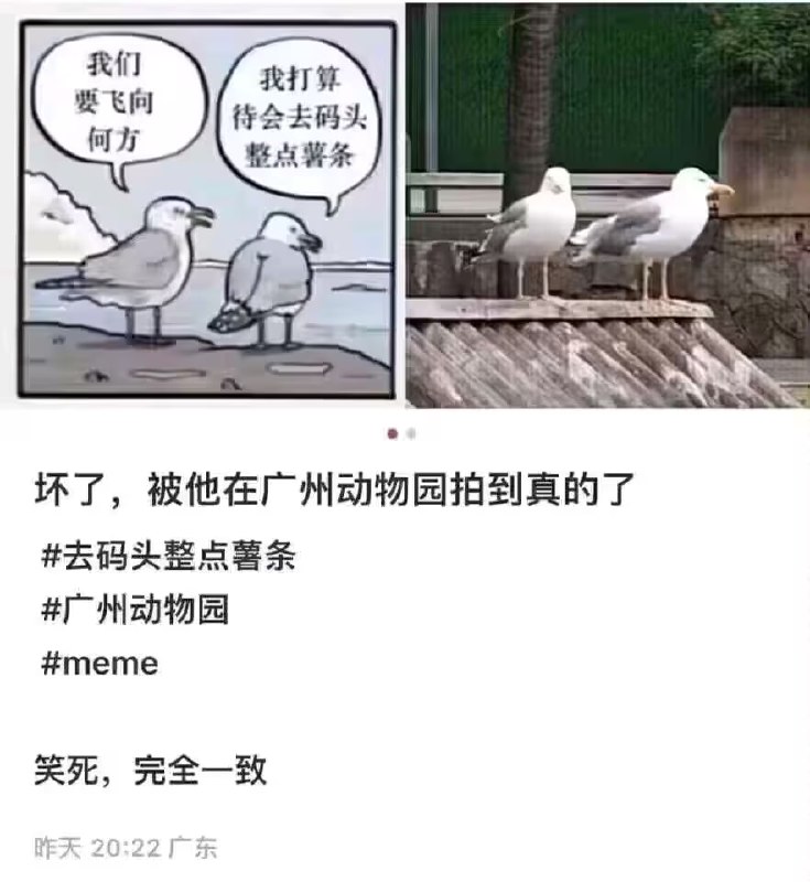 via 7号沙雕网友