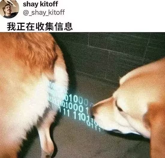 via 7号沙雕网友
