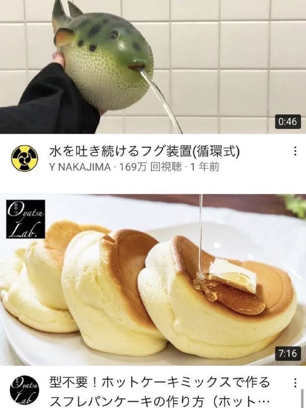 from 迷因備份區（偶爾有貓）