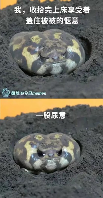 via 6号沙雕网友