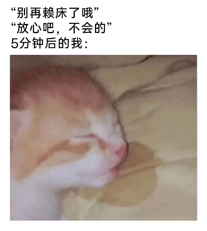 via 6号沙雕网友