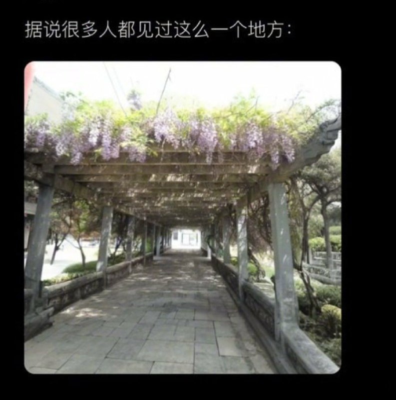 from 煎蛋无聊图