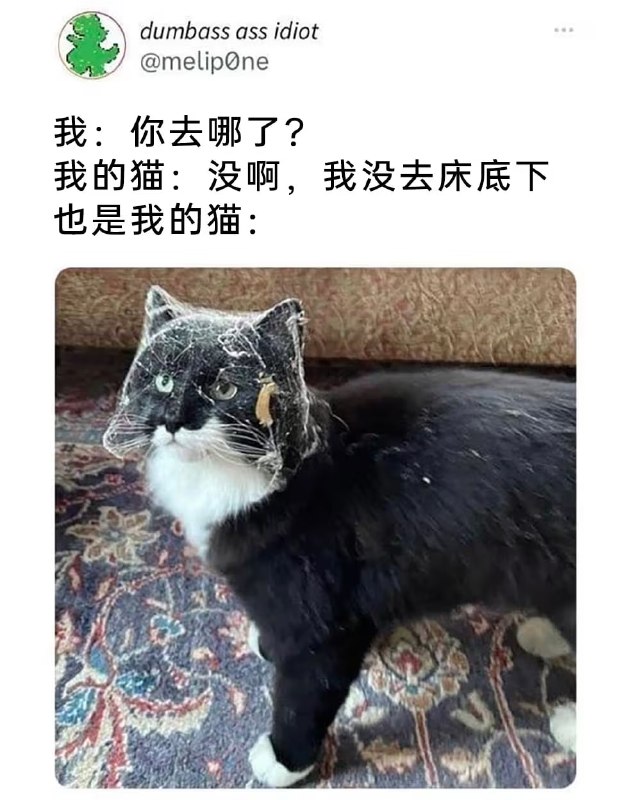 via 7号沙雕网友