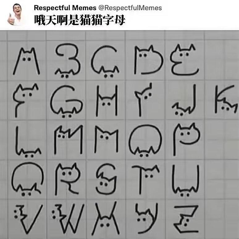 ABCD Cat Version 🤪from Scenery Of The World via 阿 英