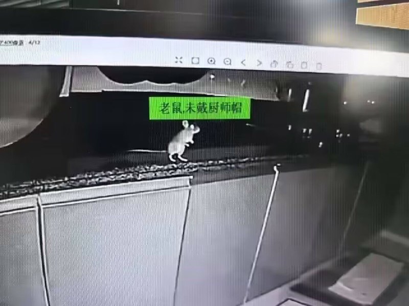 料理鼠王from 投稿机屑人料理鼠王from 投稿机屑人
