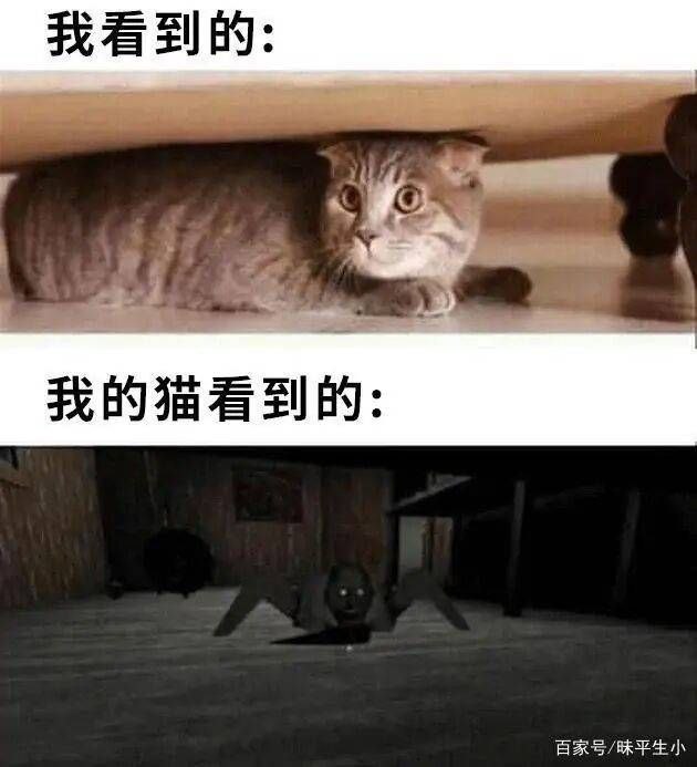 via 蒼瀾熙