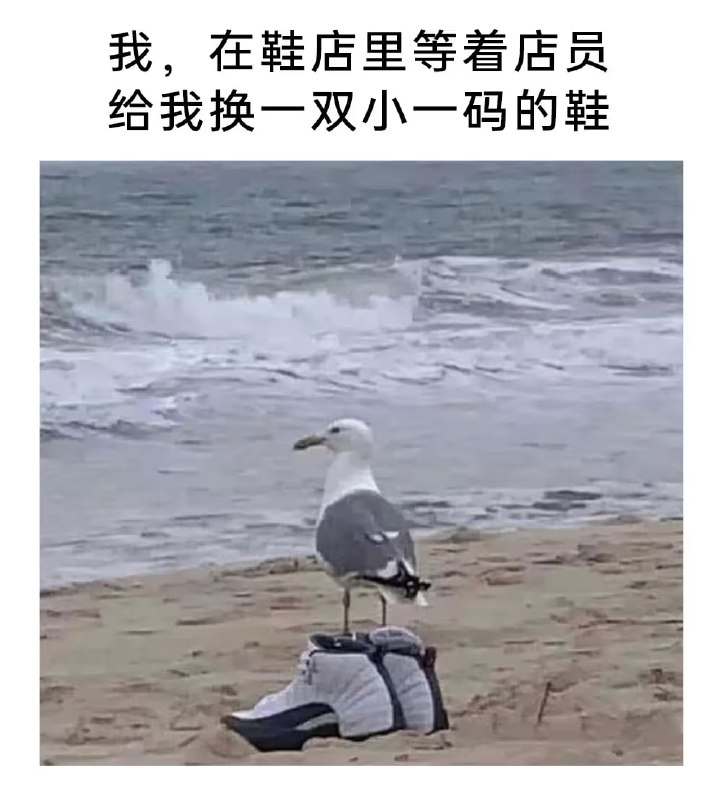 via 7号沙雕网友