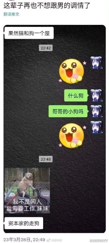 from 03在踢雞的日常 via -from 03在踢雞的日常 via -