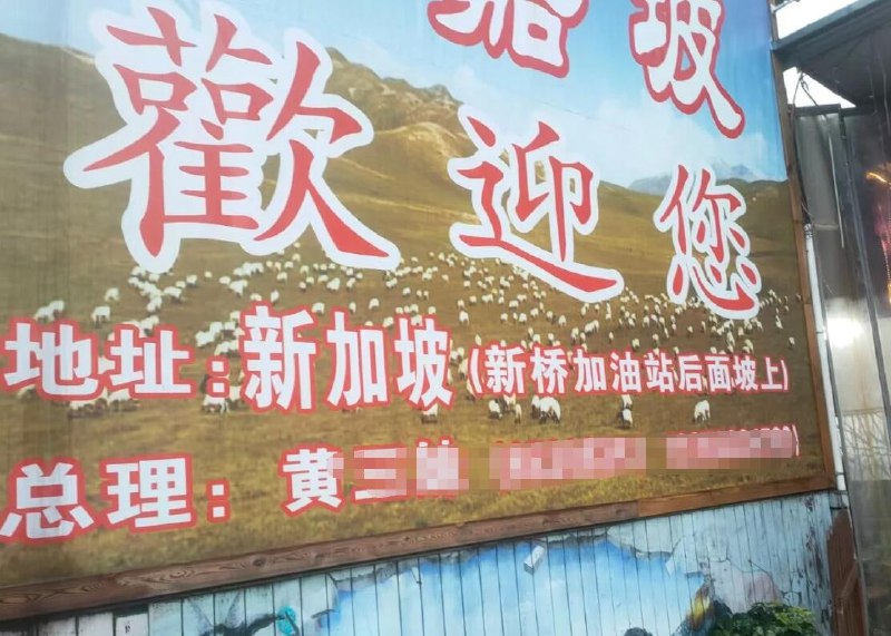 新新加坡via 6号沙雕网友