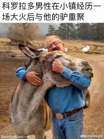 #治愈#治愈