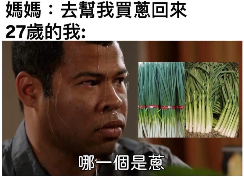 結果買了韭菜from 什麼都來點 via DECADE审核注