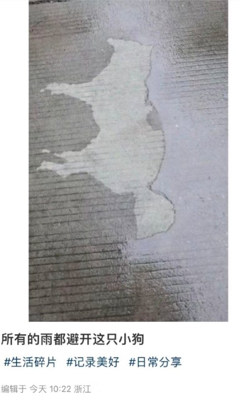 你猜小狗干的湿的🤡from 气得跳jio