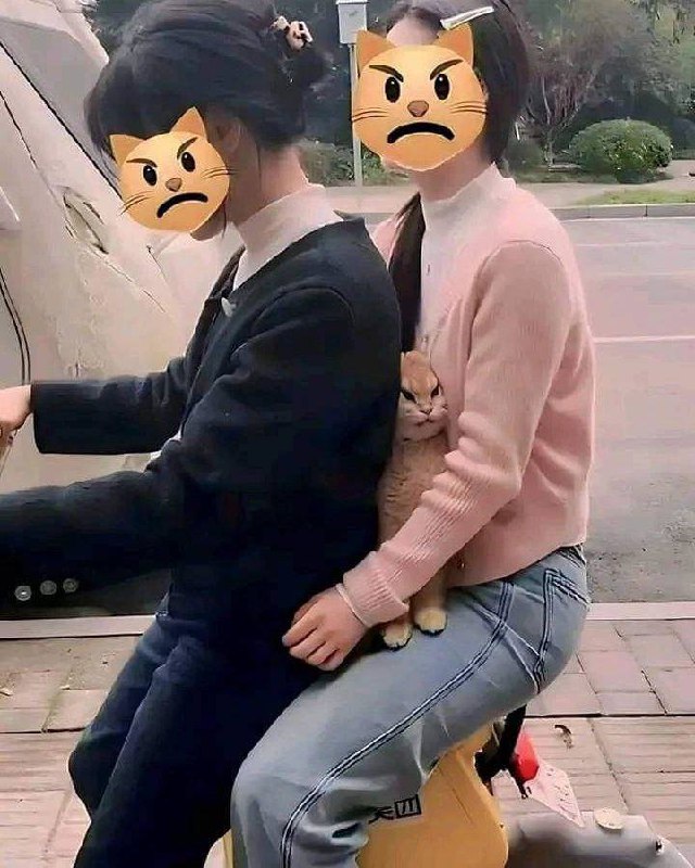 😾via Genie Tammy