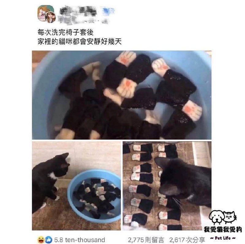 from 什麼都來點 via DECADE