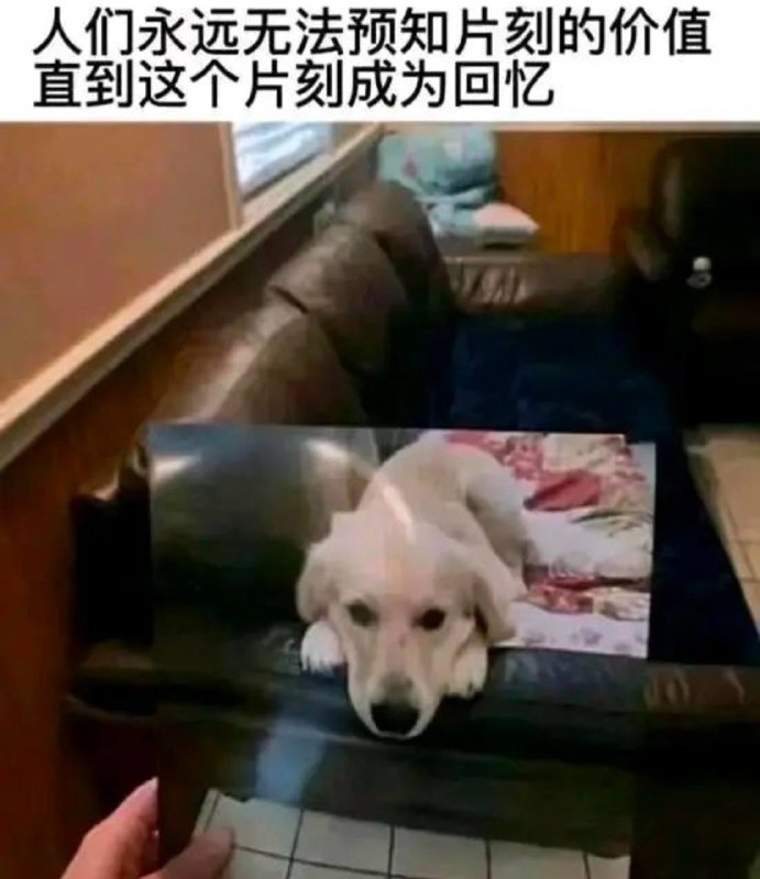 via 犯罪嫌疑人张某