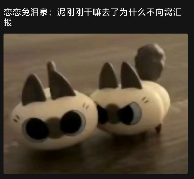 from 猫猫窝🐈🐈‍⬛️