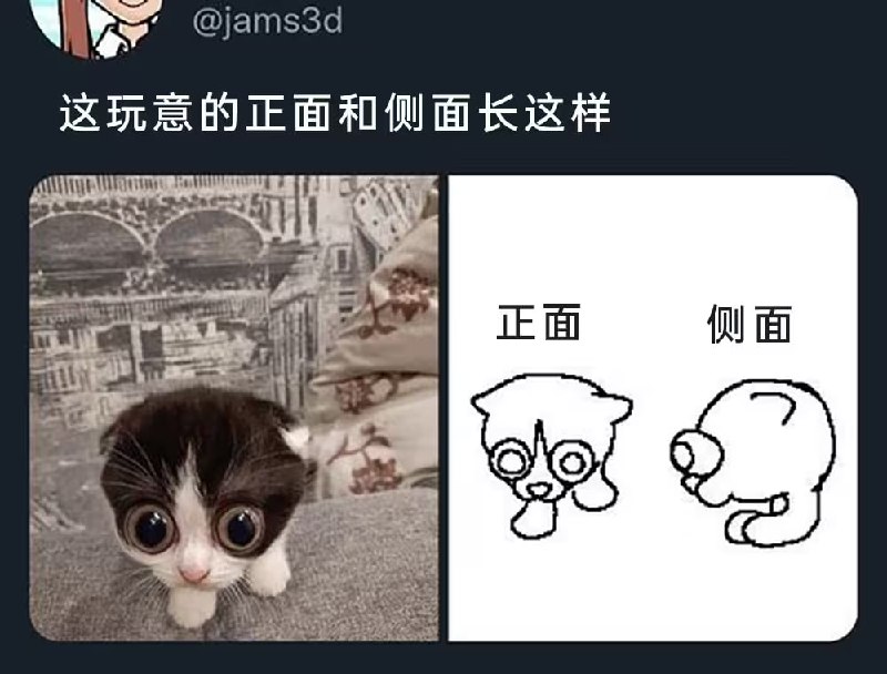 via 8号沙雕网友