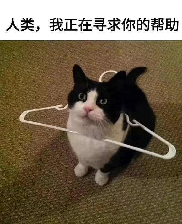 from 可怜 茅野