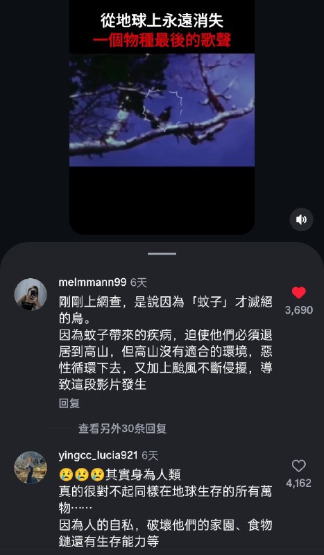 😭😭😭😢😢😢现在听到的漂亮鸟鸣，如今在地球任何地方，都已经无法亲耳听到了