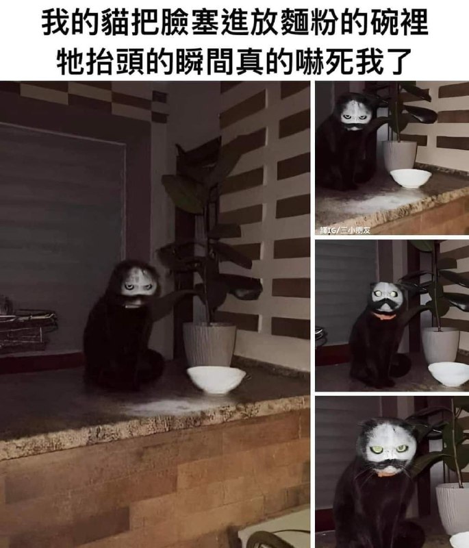 from kiki jiji