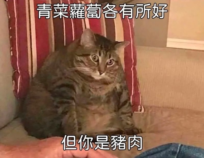 from 什麼都來點 via DECADE