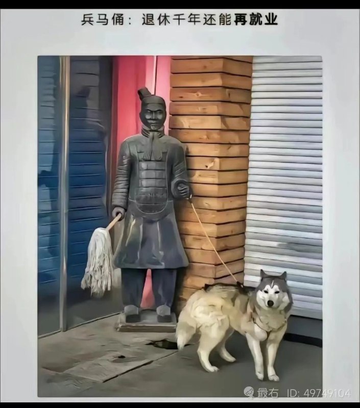 via 龙🌸猫 APEX高手版