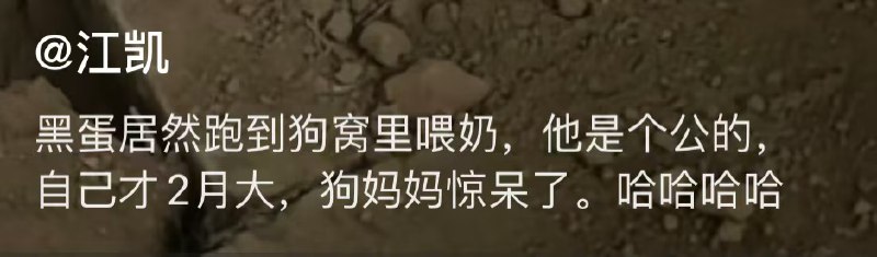 目瞪狗呆from 呸，不要脸目瞪狗呆from 呸，不要脸
