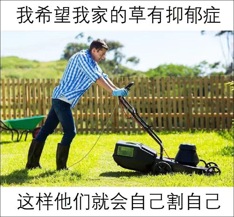 from 美图与沙雕