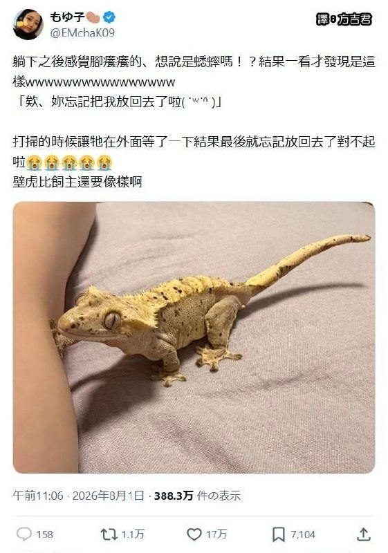 from 警察這裡有大麻🌿 via DECADE