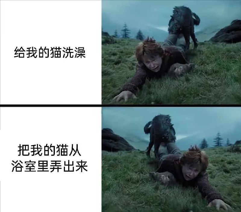 via 7号沙雕网友