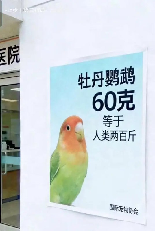 😅from 平壤卫视😅from 平壤卫视
