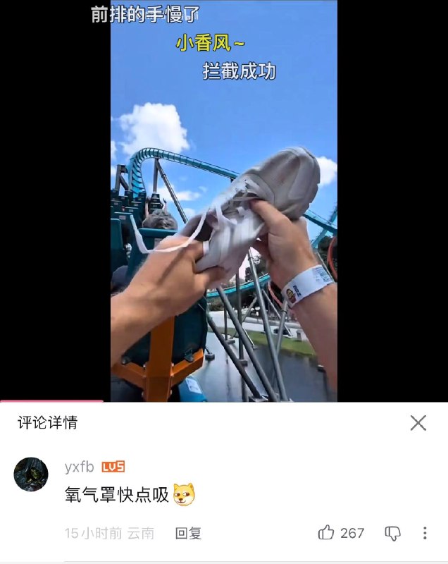 视频标题