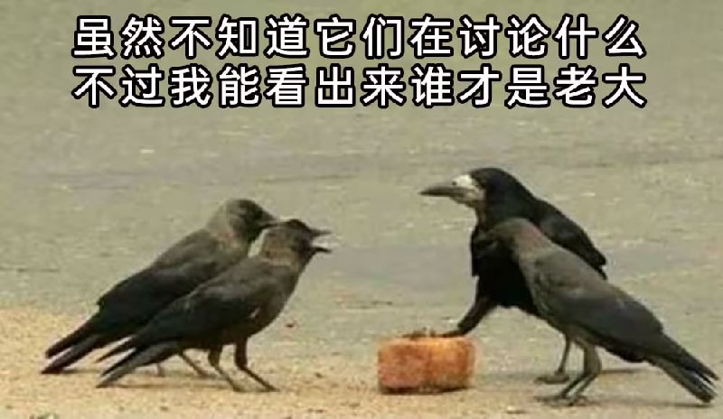 via 7号沙雕网友