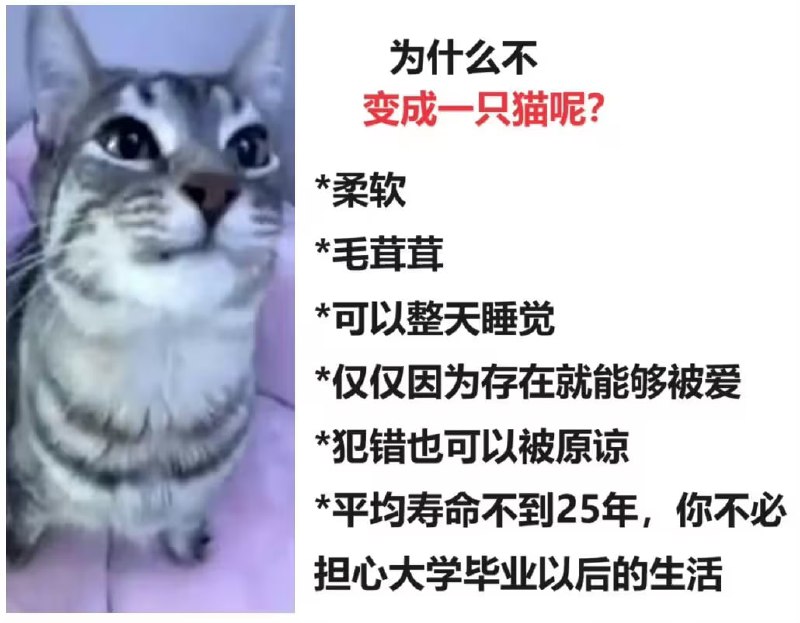 via 6号沙雕网友