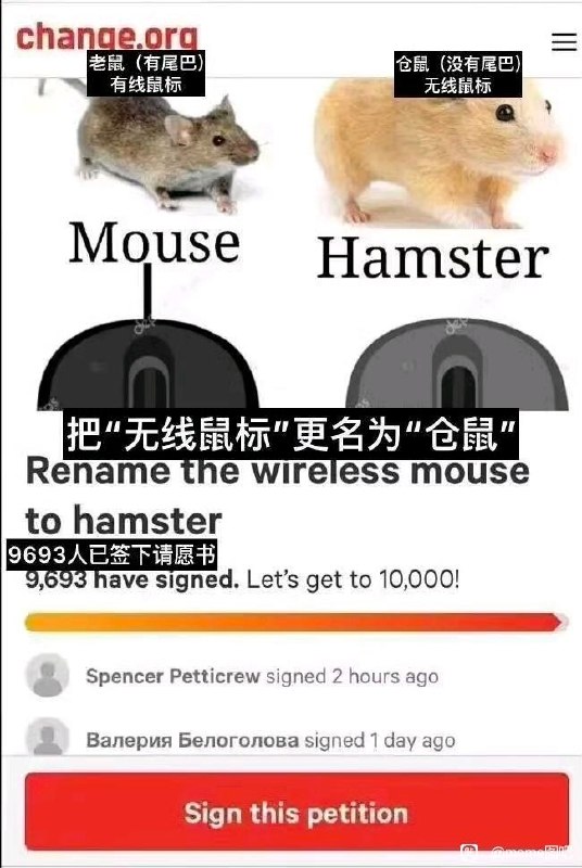 via 飞天 小松鼠