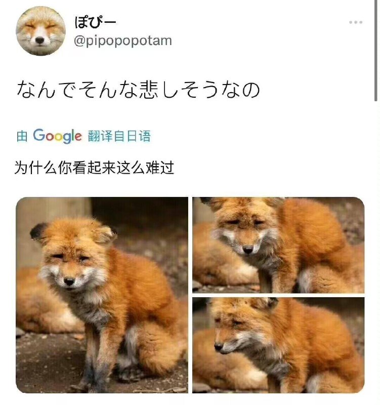 from 亚克力山大