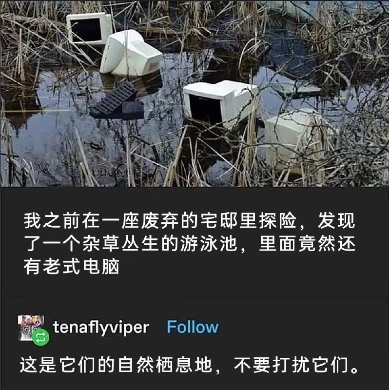 via 7号沙雕网友