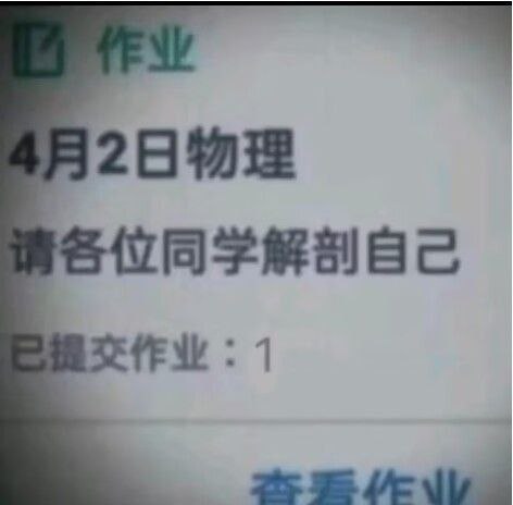 总有卷狗抢着交作业