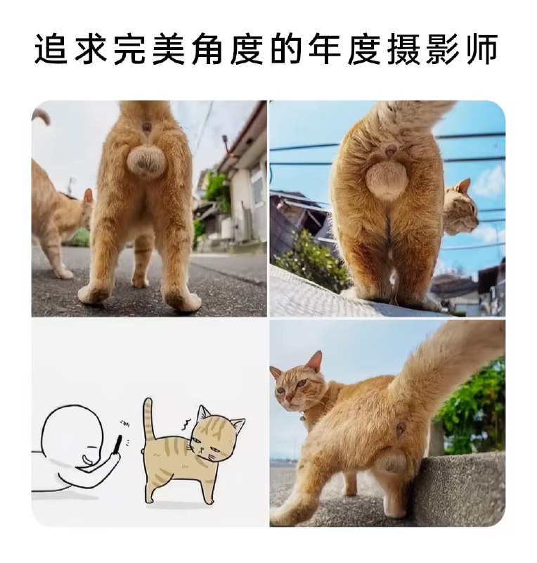 via 7号沙雕网友