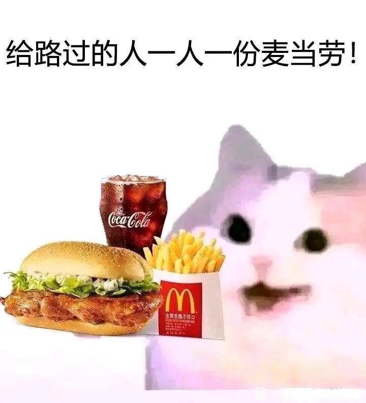 via 犯罪嫌疑人张某