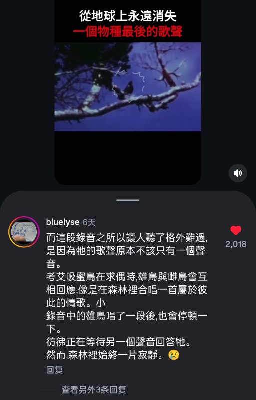 😭😭😭😢😢😢现在听到的漂亮鸟鸣，如今在地球任何地方，都已经无法亲耳听到了