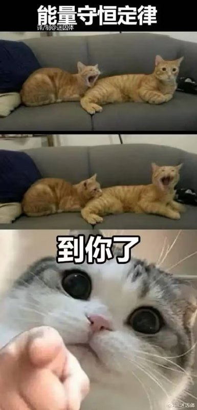 via 7号沙雕网友