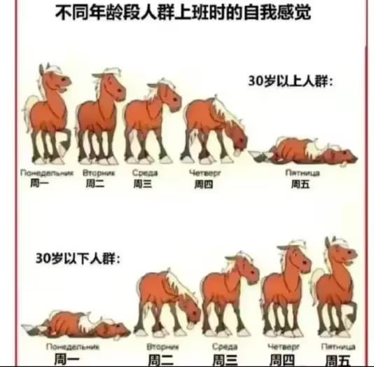 via 7号沙雕网友