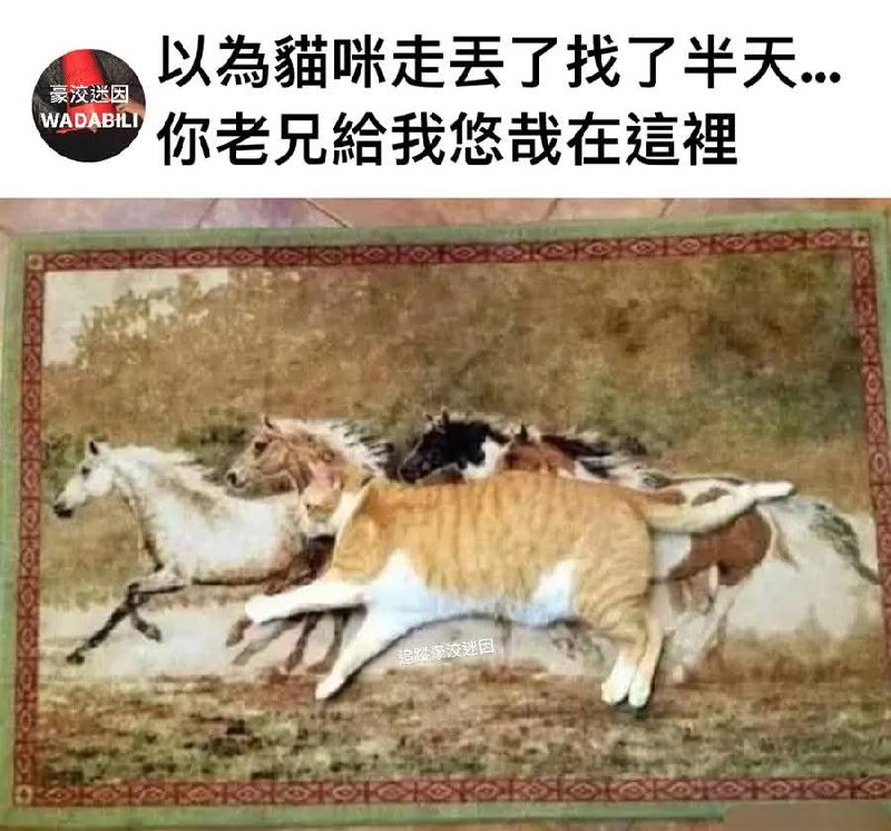 from 什麼都來點 via DECADE